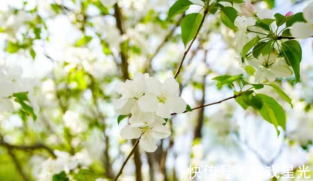 李峤#写风的诗，我心中第一的居然不带“风”字