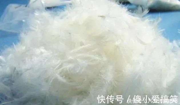 羽绒被|旧羽绒服扔了太可惜,改造一床羽绒被真暖和,省下2000块!
