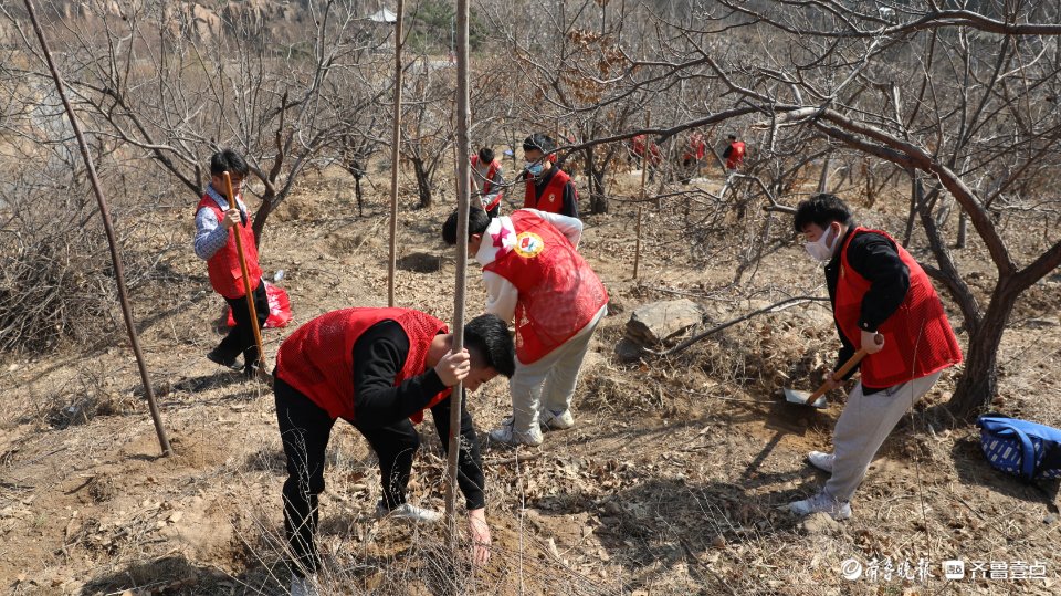 “植树添新绿 奋斗正当时”志愿服务活动在泰山九女峰举行