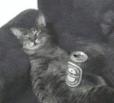 |搞笑GIF:女生喝多了什么都做的出来,她最后那几下是什么意思?