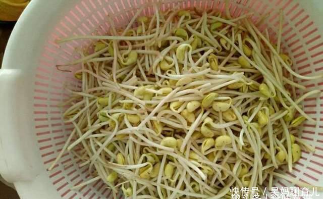 在家|教你在家发豆芽,不用土壤不用肥料,3天就能吃,脆嫩营养又卫生