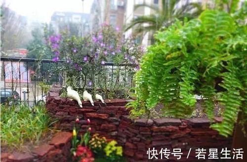 小庭院|晒晒我家40平小庭院,喝茶赏花岁月静好,邻居天天跑来蹭玩