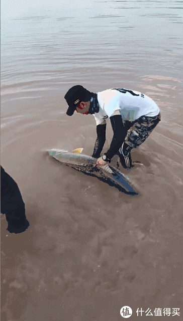 淡水鱼|重庆钓鱼人钓上“水老虎”，抱不动拖着去放掉，网友们见后却怒了