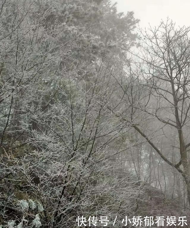 贵州|快看！贵州黔东南雷公山上处处银装素裹，风景美翻了……