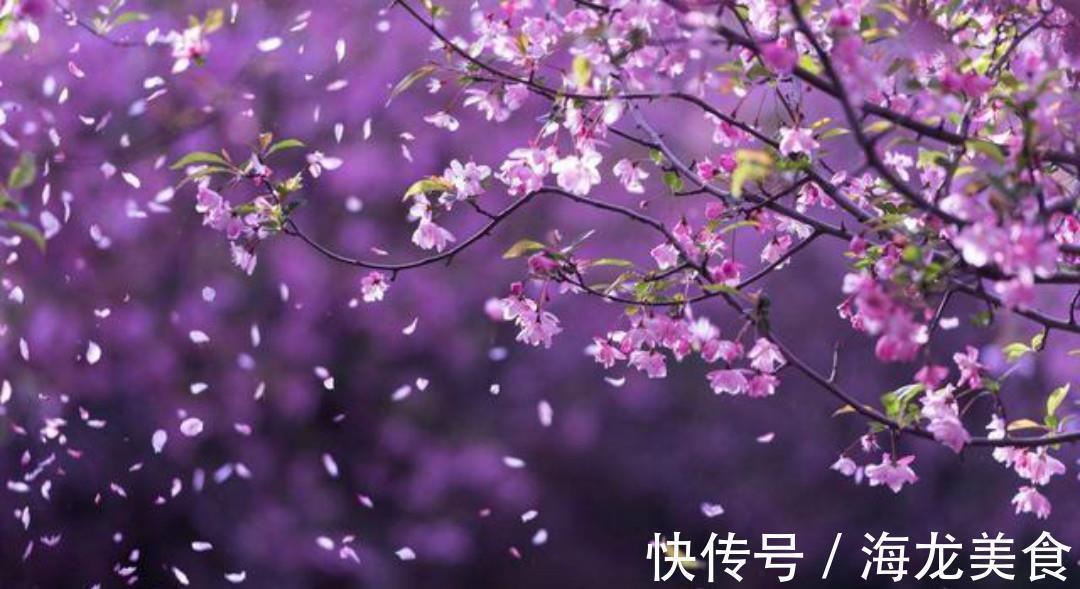 早春野望!王勃最美的一首诗,从开篇到结尾句句惊艳,美得犹如一幅山水画!