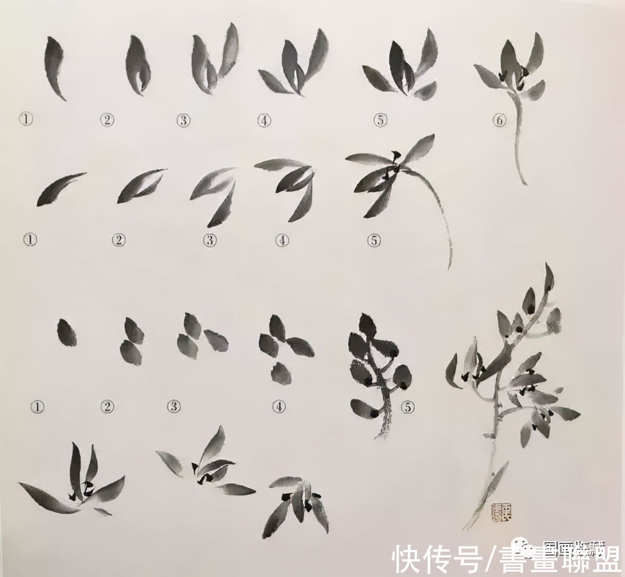 兰叶@国画兰花绘画技法，怎样画兰，兰与竹的组合画法教程