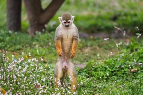 最潮流发型，你pick哪一个？