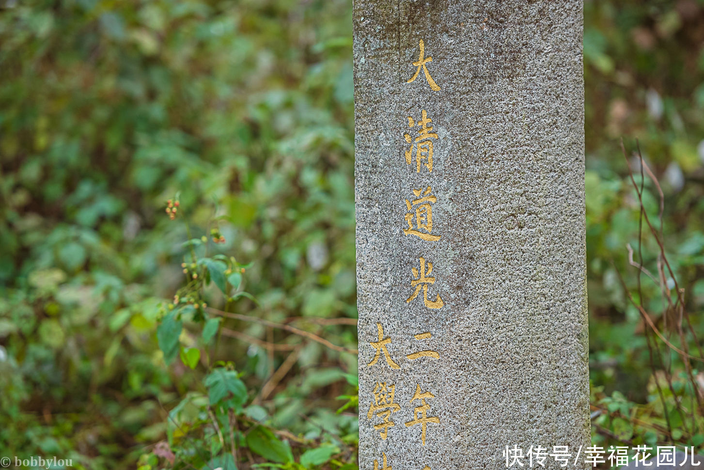 古村|号称今年最后一片银杏叶？大雪节气的高岭宿集，古村尽带黄金甲