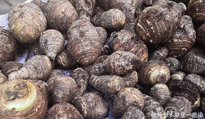 断面|买芋头，选重的就错了，老农教我4招，个个粉糯到不行，真实用