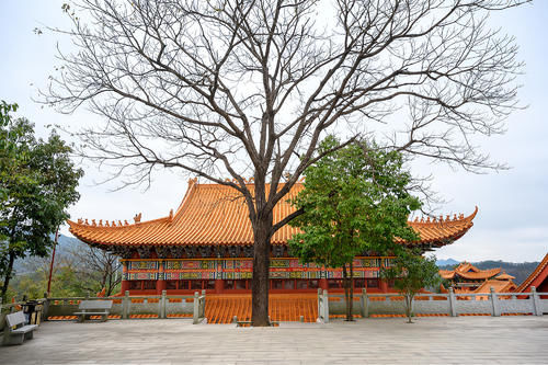 全南|藏在全南高山之巅的天龙山寺，至今400多年历史，常年香火旺盛