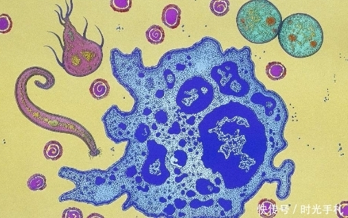 癌症自愈情况的发生,可能与4个方面有关