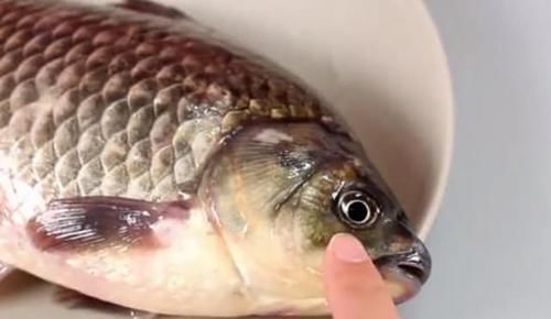 肉身|这5种鱼别再买给孩子吃了,不仅没营养还影响健康,你选对了吗?