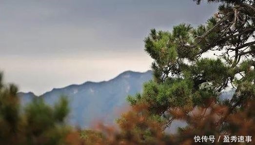 千古|千古一帝雍正，清西陵里到底藏着多少秘密？