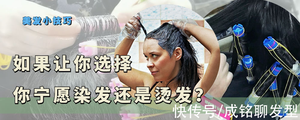 发质|如果让你选择，你宁愿染发还是烫发？还是烫染都选择？