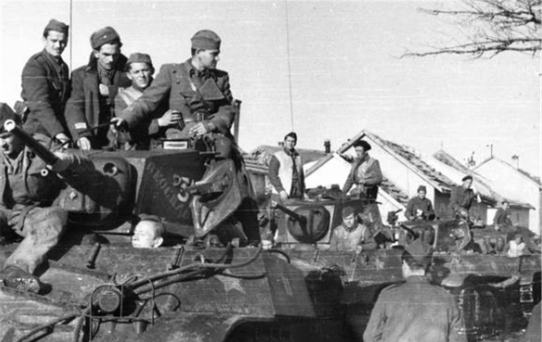 二战|南斯拉夫解放军在二战中消灭了多少德军?