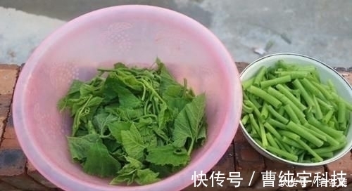 润肠|夏天,别错过这菜,1周吃4次,润肠排宿便,皮肤变白了,腰也细了