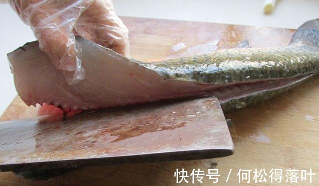 入冬后吃鸡吃鸭不如吃它，8块钱一斤炖一锅暖心暖胃特下饭，鲜香！