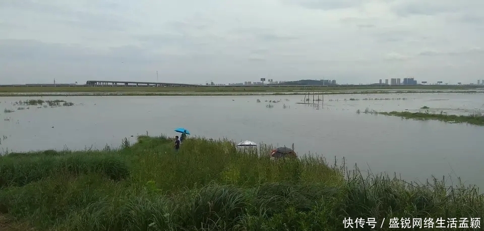 调漂|学会调漂你也是钓鱼老师傅