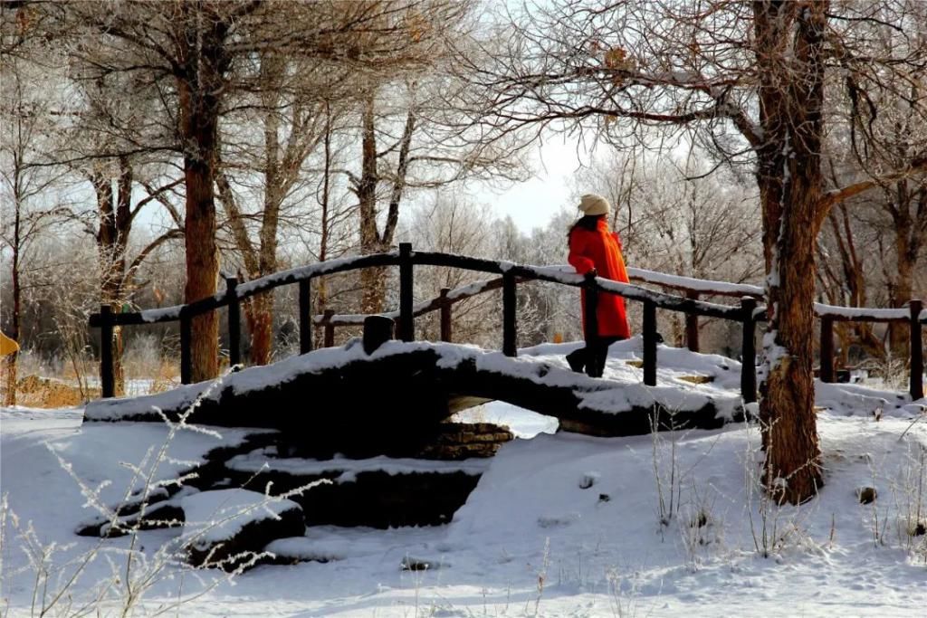 解锁|下雪了！胡杨林解锁雪景模式，太美了！