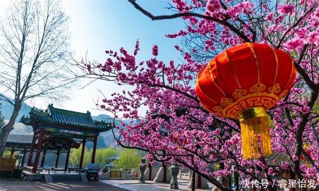 走，带上家人去野餐！《济南春日野餐指南》请收好！