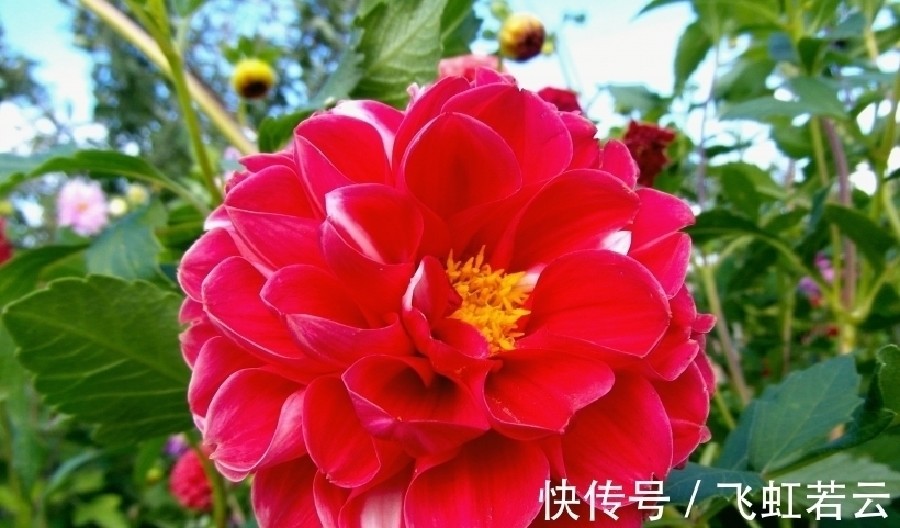 幸福的感觉|15天后,命运天定,工作提升,再度和好,真情不负,挽回旧爱