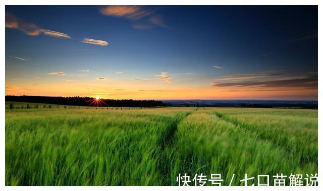 以家人之名|人生最大的教养,无非就这两个字!