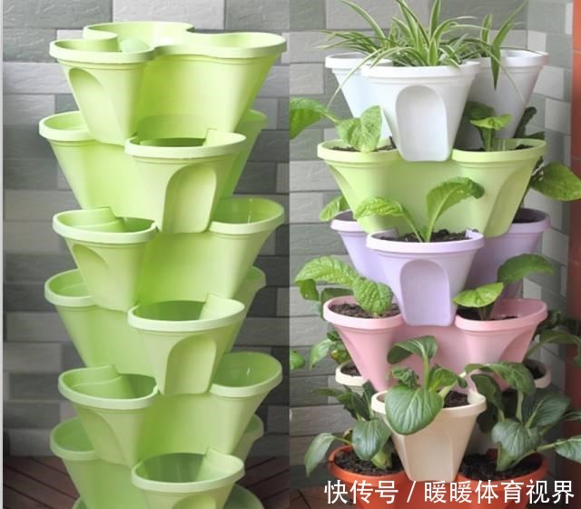 阳台还在晒衣服,拿来种菜可以吃上一整年,可香了!