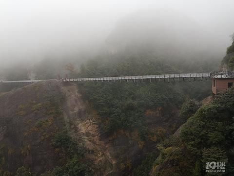 神仙居景区|打卡神仙居如意桥，宛如一柄飘在空中的玉如意