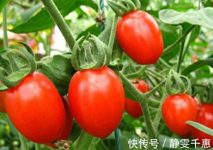 眼睛|医生提醒常吃以下4种水果，能有效的保护眼睛，早点知