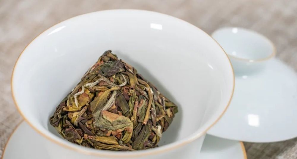 乌龙茶|高山漳平水仙,非遗传承人让你体验“乌龙茶小姐”的风韵