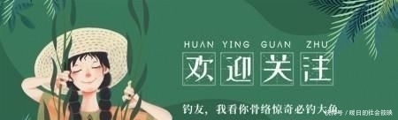 钓鱼|钓鱼“黑”午时不是鱼儿难钓获,而是你方法不对路