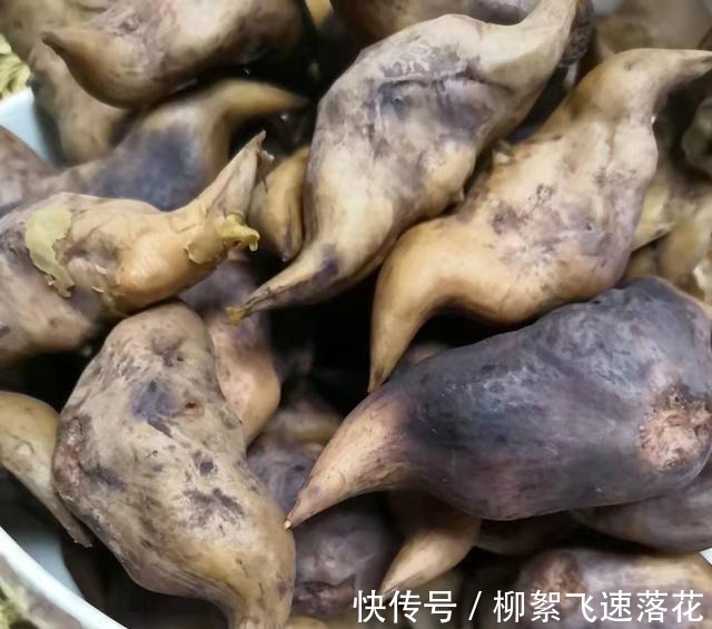 微山湖的大菱角大丰收了，大家来看看怎么吃口感才最好！