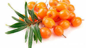 种果|甘油三酯高怎么办?建议:吃1种果,甘油三酯降了,头不晕不痛