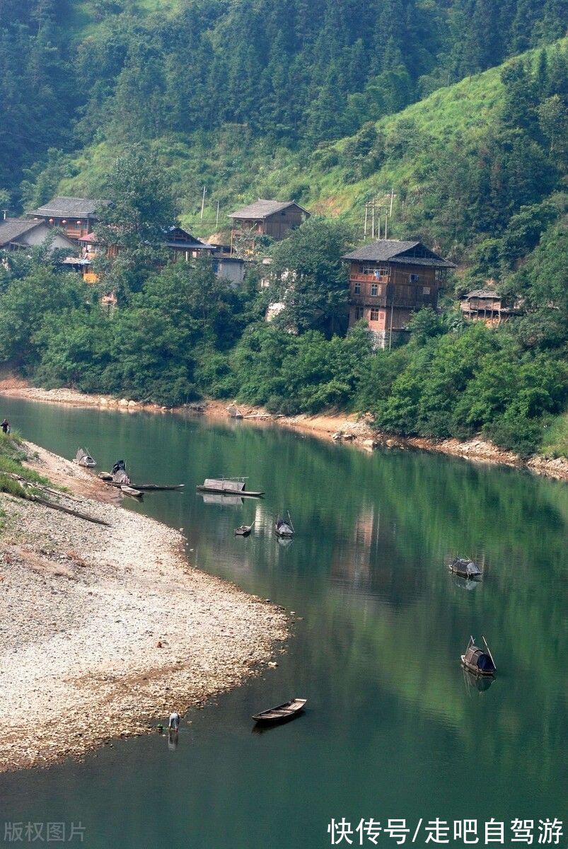 贵州|假如没有贵州，中国的春天就要凋零一半