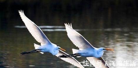 闲情赋#古代九大经典“情书”!第一名写的又甜又美!