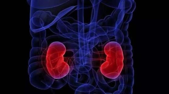 黑米|男人小便时，若能保持1个动作，妻子会喜欢你，长寿也会偏爱你！