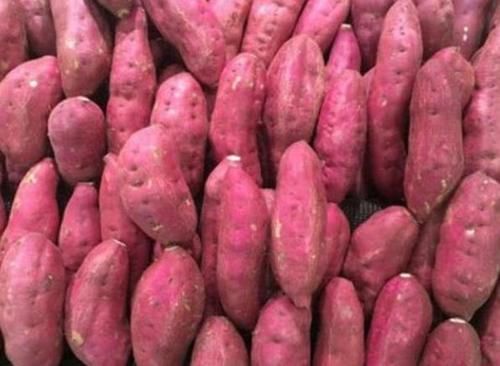 春天来了，不妨多吃以下食物，滋补养生，延缓衰老，皮肤更白嫩