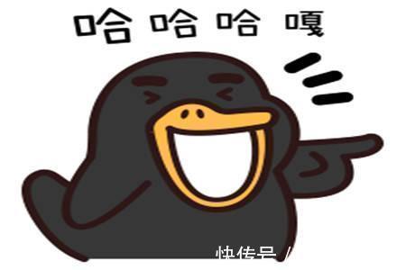 |幽默笑话:堂哥没事总喜欢喝酒,可每次喝断片后奇怪的事层出不穷