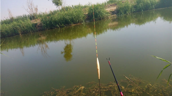 浮漂选用的3大基本原则,野钓、黑坑都适用,钓鱼人的必修课