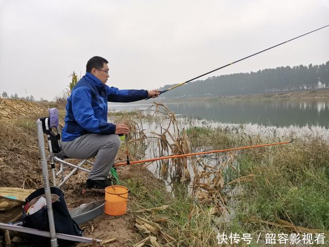 鲫鱼喜欢什么气味,你真的知道吗?这次讲个透彻,咱们一窥究竟