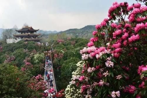贵州口碑最好的5大景点，个个风景优美，一个没去过太遗憾了