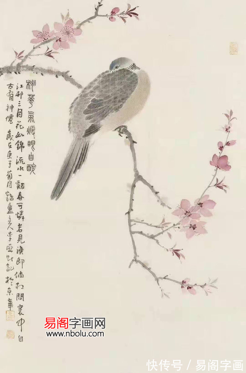 李亚！李亚花鸟画 如清风徐来 又似流水恋花