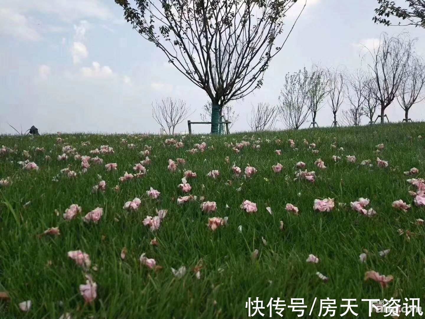 武汉恒大科技旅游城|新鲜出炉！帮你搜集武汉江夏楼盘现场的最新美图