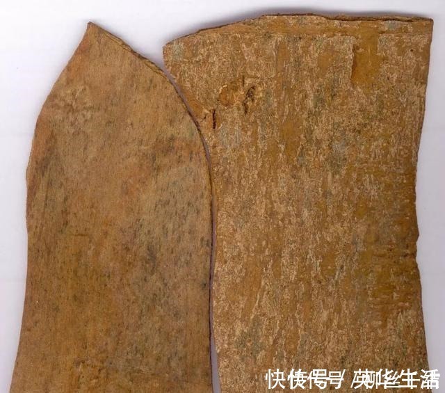 脾胃|冬季手脚冰凉、上热下寒、特别怕冷那是你的阳气跑错地方了!