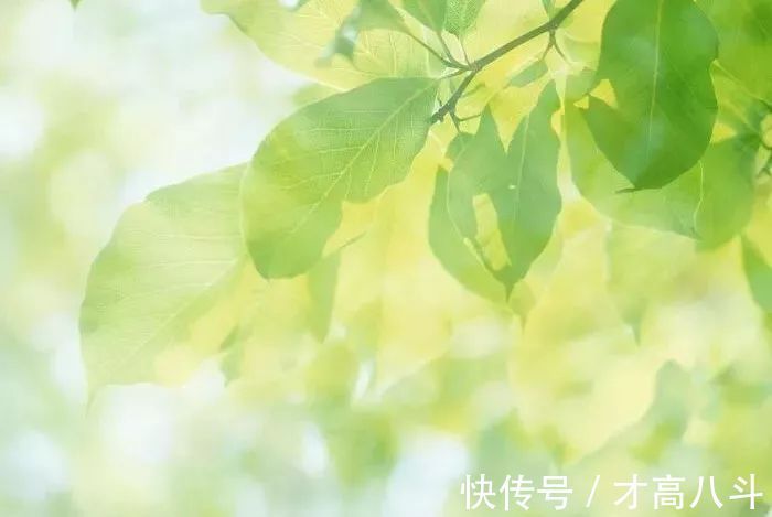 早行@10首早行诗词,总有一句,说中你的孤独时刻