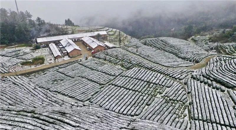 银装素裹|下雪了，银装素裹下的湖北绝美大片