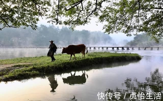 田园#宋代诗人只有一首古诗传世，28字当中，却有最美的田园夕阳