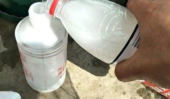 淘米水浇花，试着加入“3样东西”再用，肥效翻一倍，养啥都旺盛