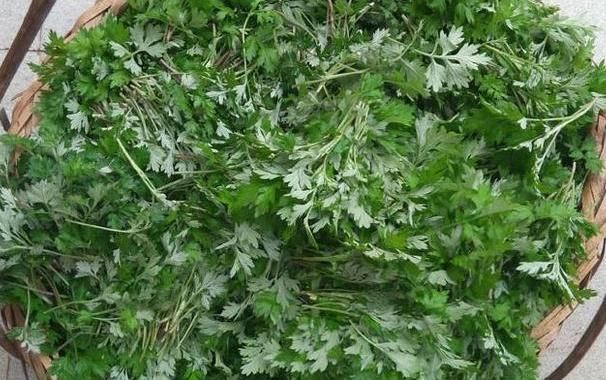 农村一种野草气味独特,做成枕头安眠助睡,被称女性的“保护草”