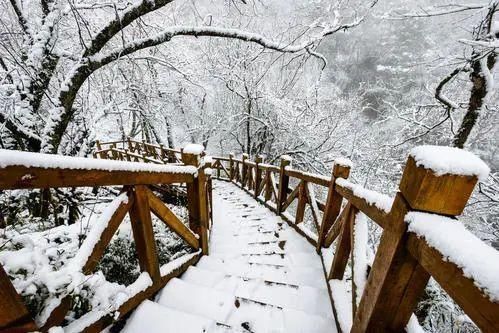 探秘幽深的历史隧道，重现风雨砥砺的传奇——阴平古道